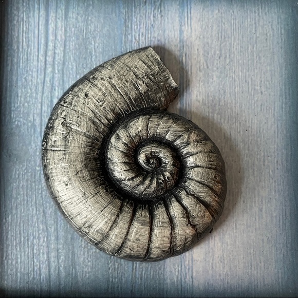 Nautilus rack for small towels or keychains - Picture 5 of 6